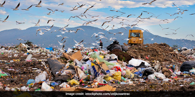 Waste Management
